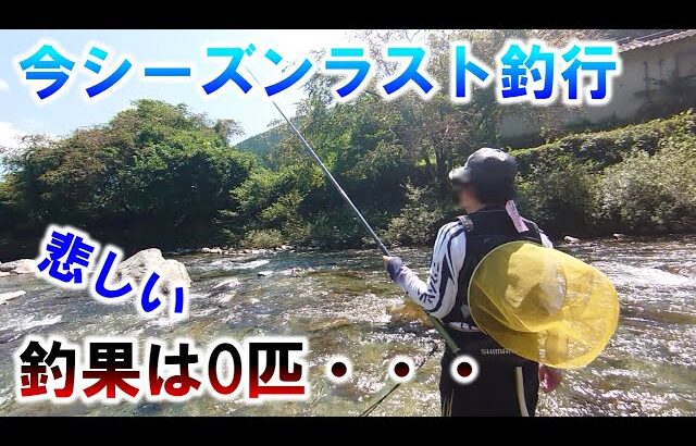【付知川鮎釣り】まさかの釣果0匹！？今シーズン最後のアユ釣りに行ってみた！岐阜県中津川市付知川【アユ釣り】