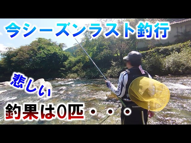 【付知川鮎釣り】まさかの釣果0匹！？今シーズン最後のアユ釣りに行ってみた！岐阜県中津川市付知川【アユ釣り】