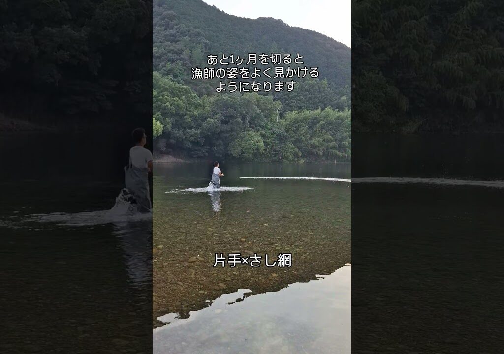 鮎漁のこり1ヶ月をきりました！ #川漁師 #四万十川 #投網