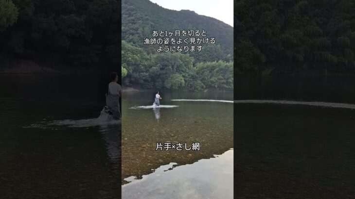 鮎漁のこり1ヶ月をきりました！ #川漁師 #四万十川 #投網