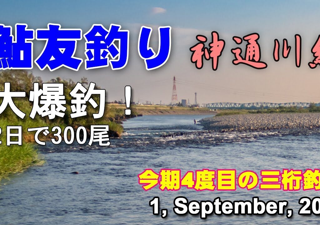 鮎友釣り　神通川編  1, September, 2025