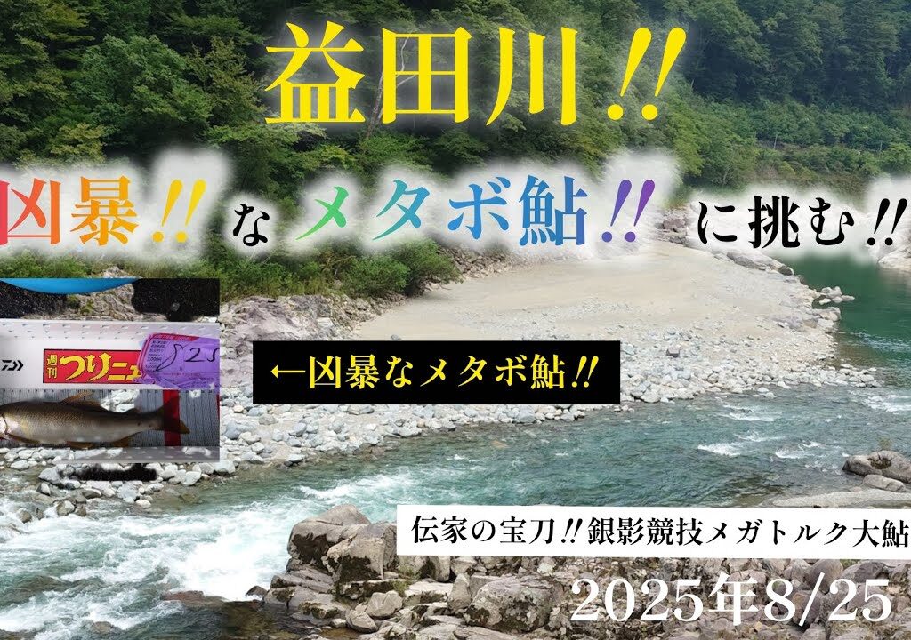 益田川‼️凶暴なメタボ鮎に挑む‼️伝家の宝刀銀影競技メガトルク大鮎10m 2025年8/25