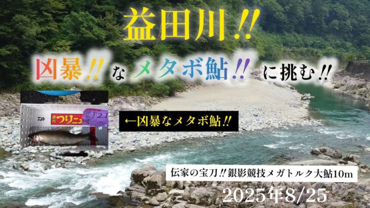 益田川‼️凶暴なメタボ鮎に挑む‼️伝家の宝刀銀影競技メガトルク大鮎10m 2025年8/25