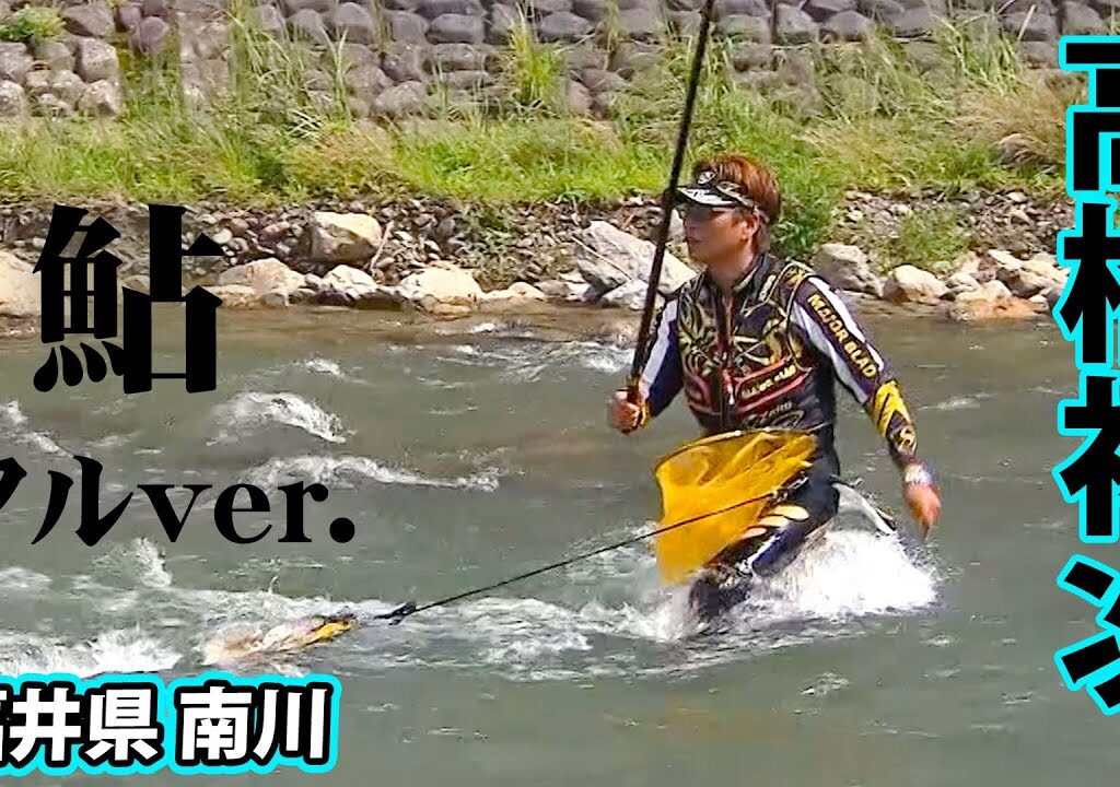 高橋祐次がシーズン終盤の福井県南川で友釣りの魅力を伝える 『鮎2018』【釣りビジョン】
