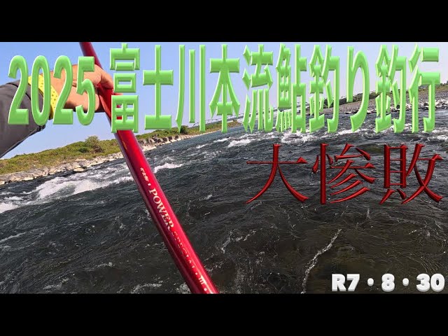 2025 富士川本流鮎釣り釣行