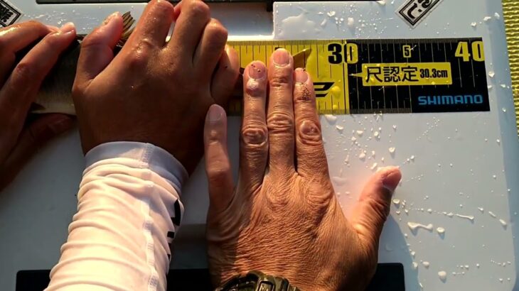 2025 栃木県鬼怒川本流　実寸尺鮎認定🤗