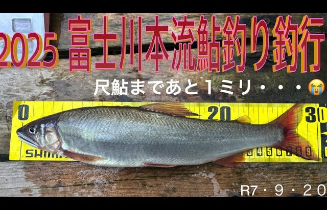 2025 富士川本流鮎釣り釣行