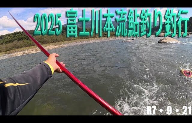 2025 富士川本流鮎釣り釣行