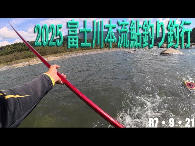 2025 富士川本流鮎釣り釣行