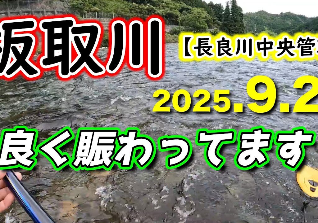板取川の最新釣況（中央管轄区）大混雑のタイミングでなんとか３０匹。【2025年アユ釣り。長良川中央】