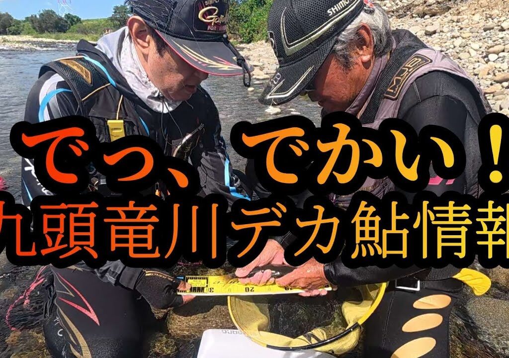 【でっ、でかい！】九頭竜川デカ鮎情報　2025鮎釣り