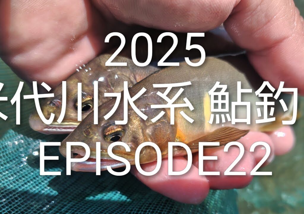 2025 米代川水系 鮎釣り EPISODE22