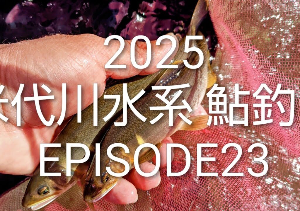 2025 米代川水系 鮎釣り EPISODE23