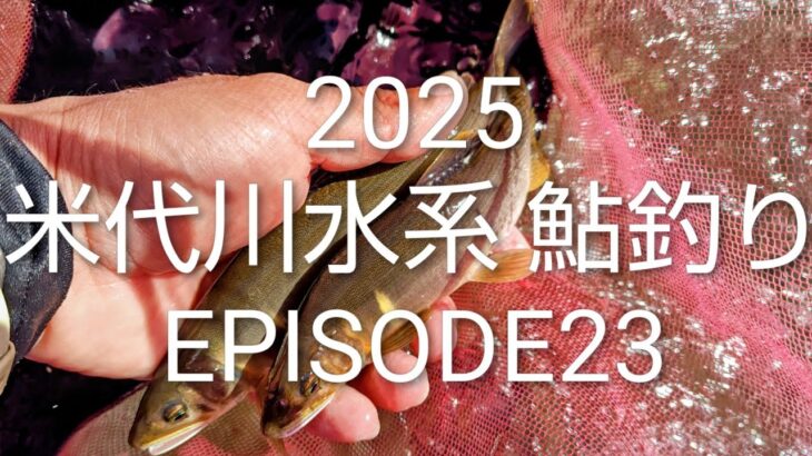 2025 米代川水系 鮎釣り EPISODE23