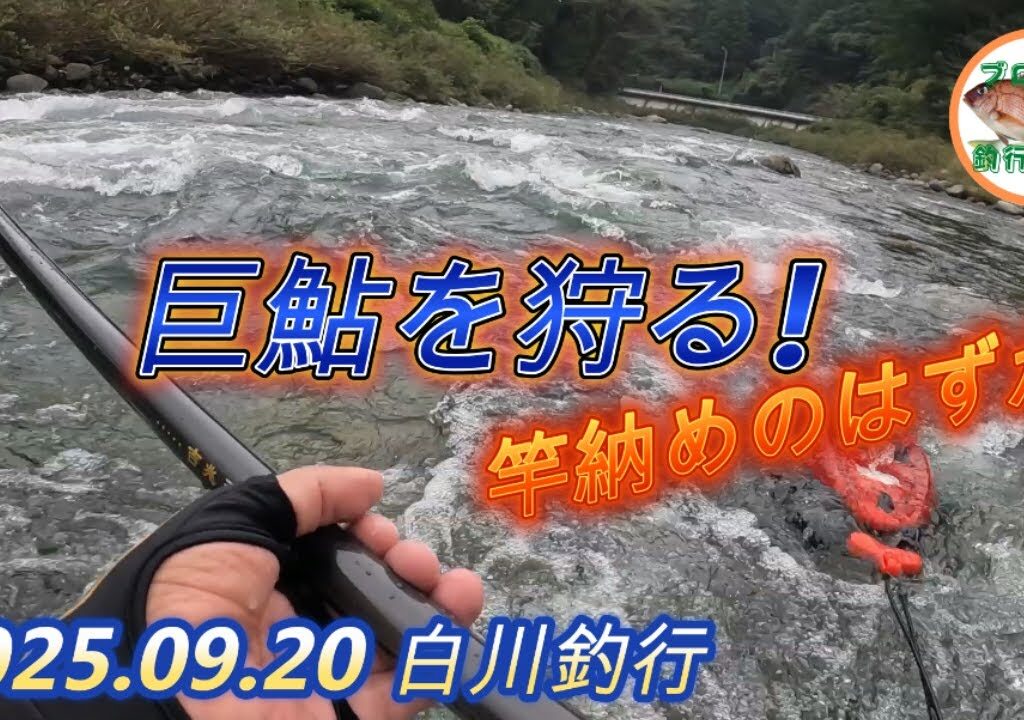 2025.09.20 大鮎巨鮎に振り回された白川釣行