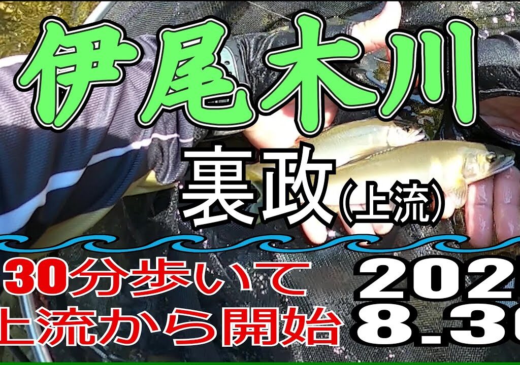 アユの友釣り 伊尾木川(高知県) 裏政 2025.8.30