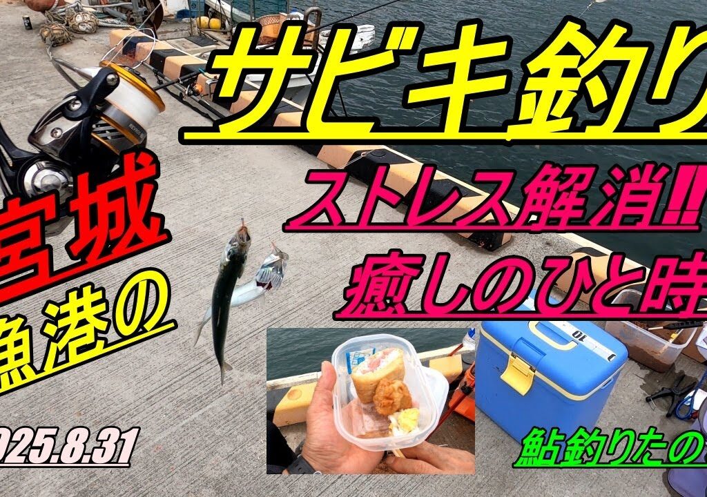 2025.8.31　宮城漁港のサビキ釣り