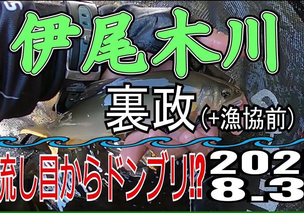 アユの友釣り 伊尾木川(高知県) 裏政+漁協前 2025.8.31