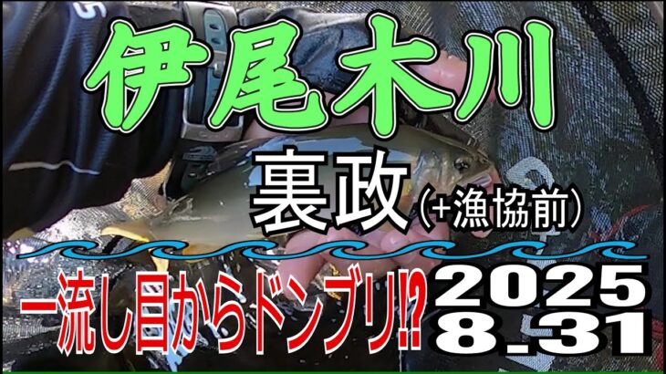 アユの友釣り 伊尾木川(高知県) 裏政+漁協前 2025.8.31