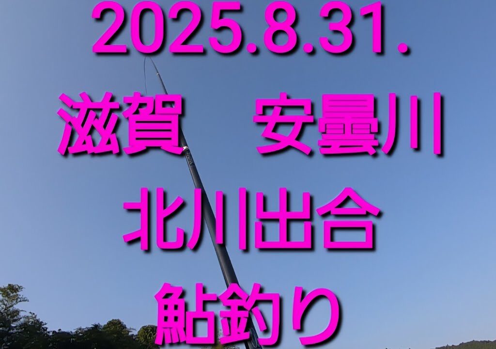2025.8.31. 安曇川朽木　北川出合い　鮎釣り