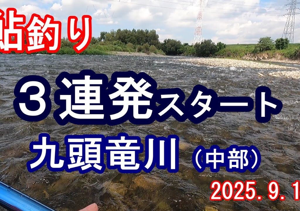鮎　友釣り　九頭竜川（中部）　高圧線下～水源地　2025.9.17　スタートから３連発も・・・　後半は型がいい