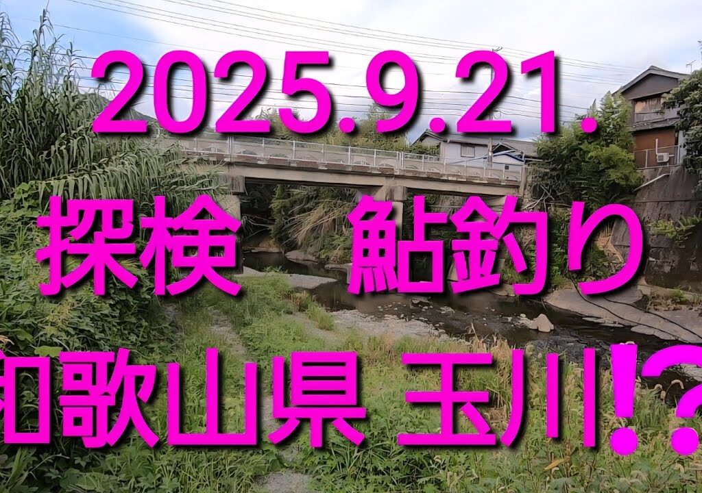 探検 鮎釣り　某支流@有田川（2025.9.21.）