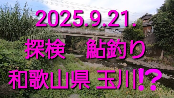 探検 鮎釣り　某支流@有田川（2025.9.21.）