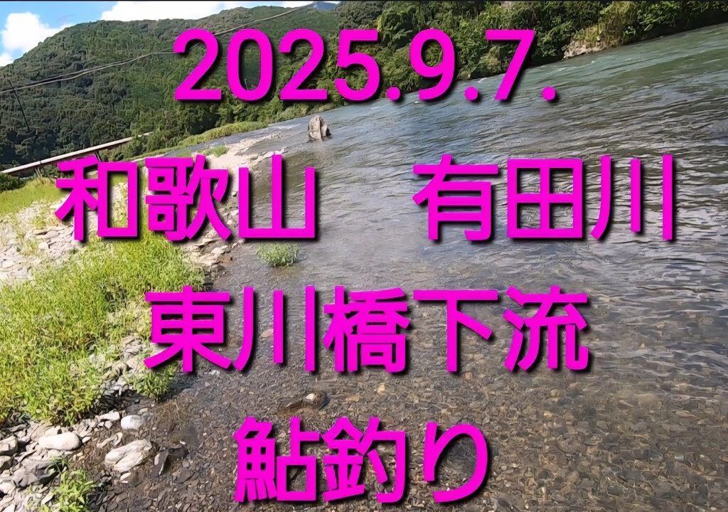 ササ濁りの有田川　東川橋下流のアユ釣り（2025.9.7）