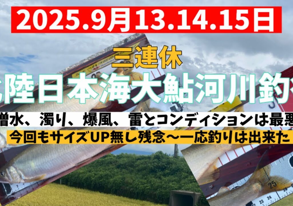2025.9月13.14.15三連休日本海北陸大鮎河川釣行　#釣り #鮎釣り #サンテック #サンライン