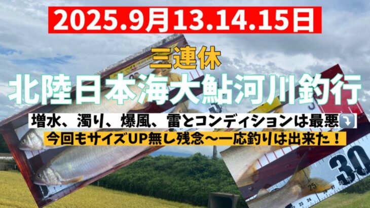 2025.9月13.14.15三連休日本海北陸大鮎河川釣行　#釣り #鮎釣り #サンテック #サンライン