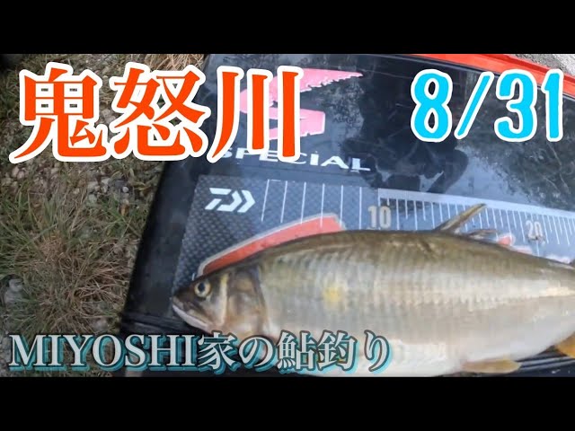[2025鮎釣り]8/31鬼怒川MIYOSHI 家の最高新記録がでました！