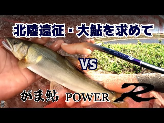 2025・9月上旬・富山小矢部川＆北陸鮎釣りの旅～大鮎を求めて～