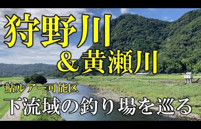 狩野川＆黄瀬川　下流域の釣り場を巡る【鮎ルアー可能区】　2025年9月の川見