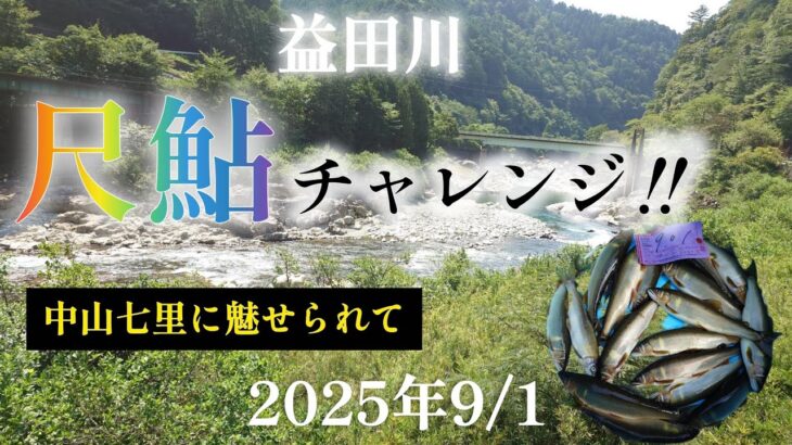 益田川　尺鮎チャレンジ‼️中山七里に魅せられて。2025年9/1