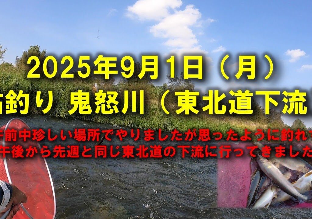 【2025鮎釣り】9月1日（月）2025鮎　鬼怒川釣行（東北自動車道下流）