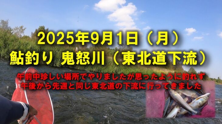 【2025鮎釣り】9月1日（月）2025鮎　鬼怒川釣行（東北自動車道下流）