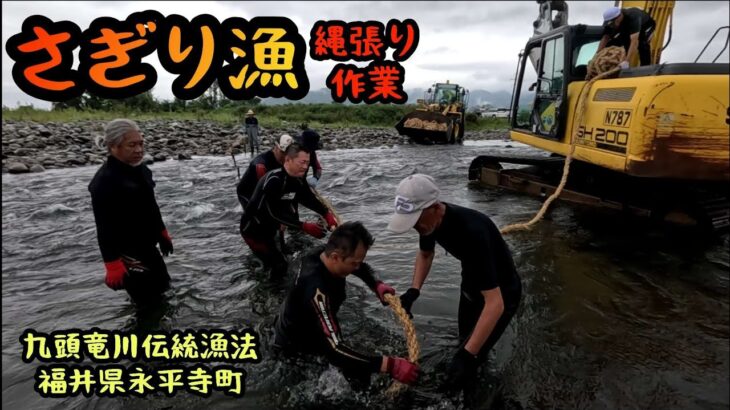 九頭竜川伝統漁法【さぎり漁】縄張り作業　　福井県永平寺町　2025年9月14日