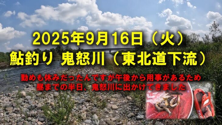 【2025鮎釣り】9月16日（火）2025鮎　鬼怒川釣行（東北自動車道下流）
