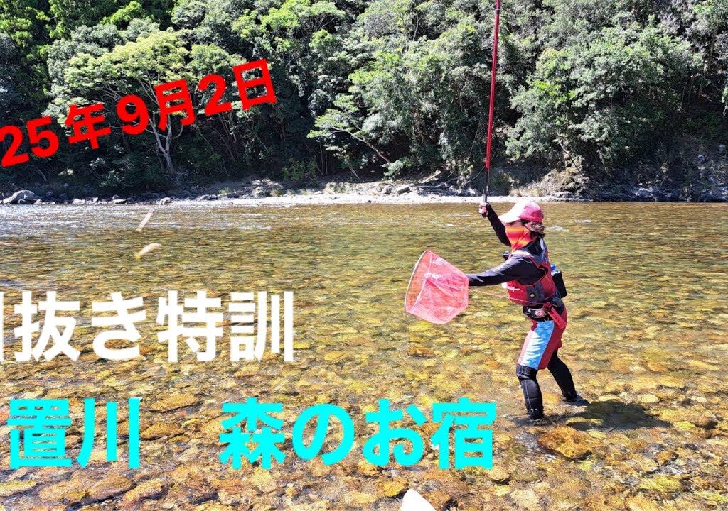 2025年9月2日日置川 鮎友釣り