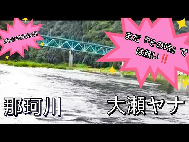 2025年9月20日那珂川本流鮎釣りポイント大瀬ヤナ