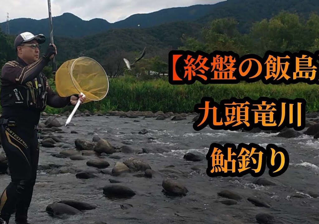 【終盤の飯島】九頭竜川鮎釣り　2025年9月20日
