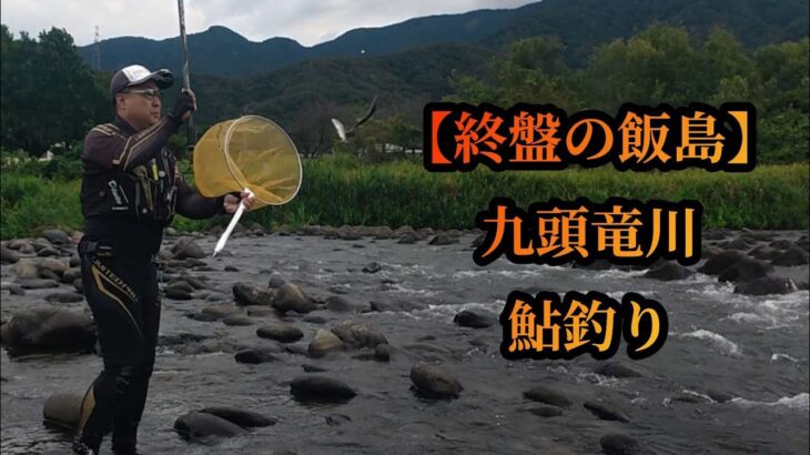 【終盤の飯島】九頭竜川鮎釣り　2025年9月20日