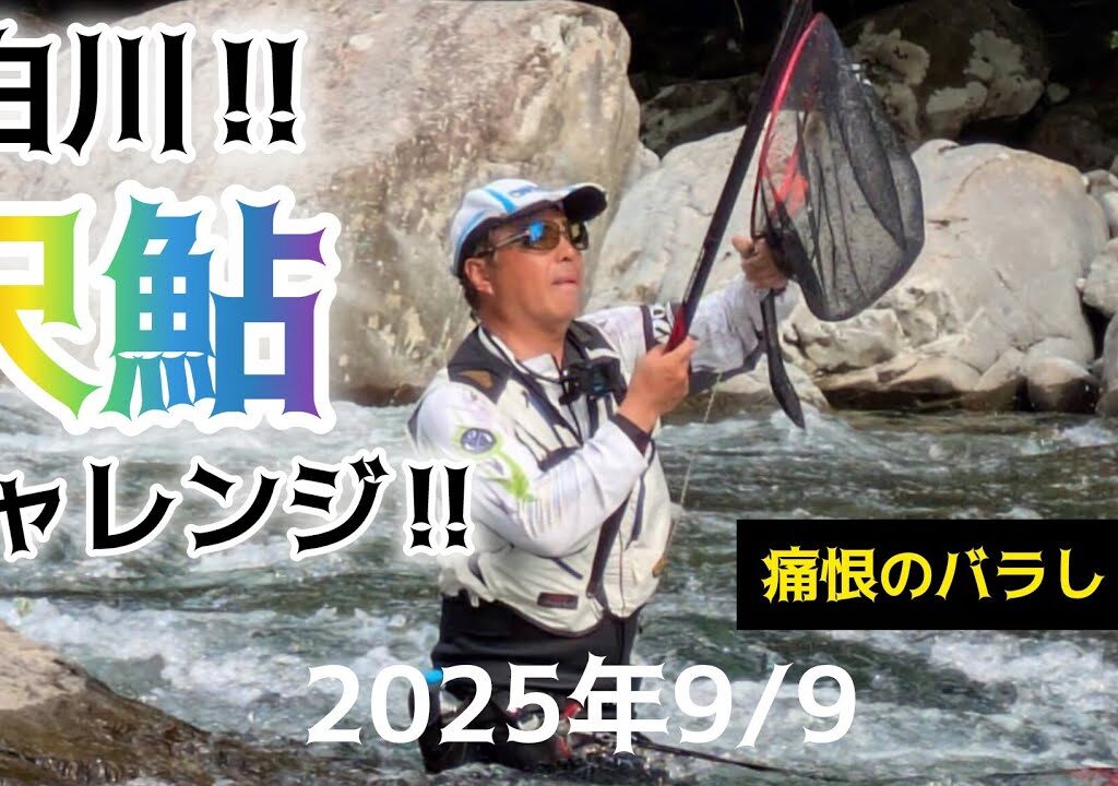 白川‼️尺鮎チャレンジ‼️痛恨のバラし。2025年9/9