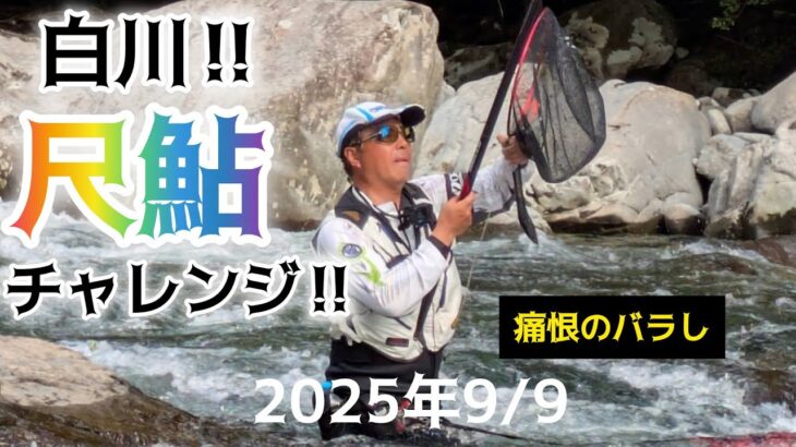 白川‼️尺鮎チャレンジ‼️痛恨のバラし。2025年9/9