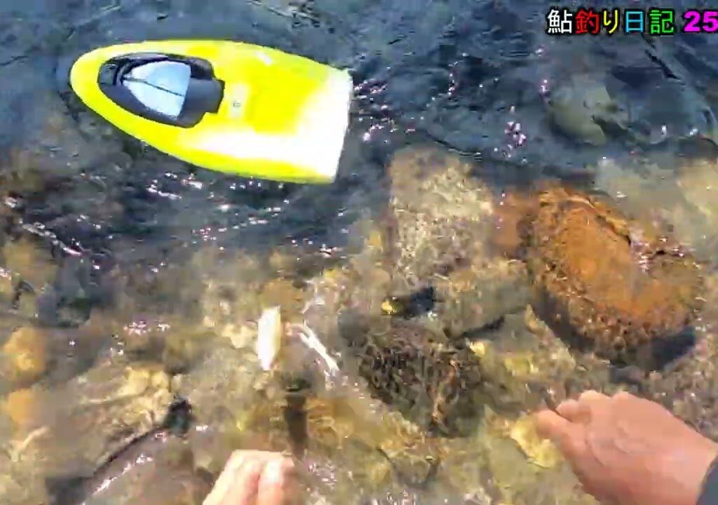 鮎釣り日記 25 9 16