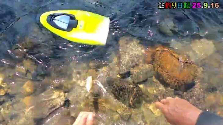 鮎釣り日記 25 9 16