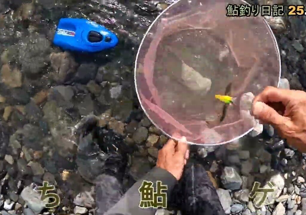 鮎釣り日記 25 9 21