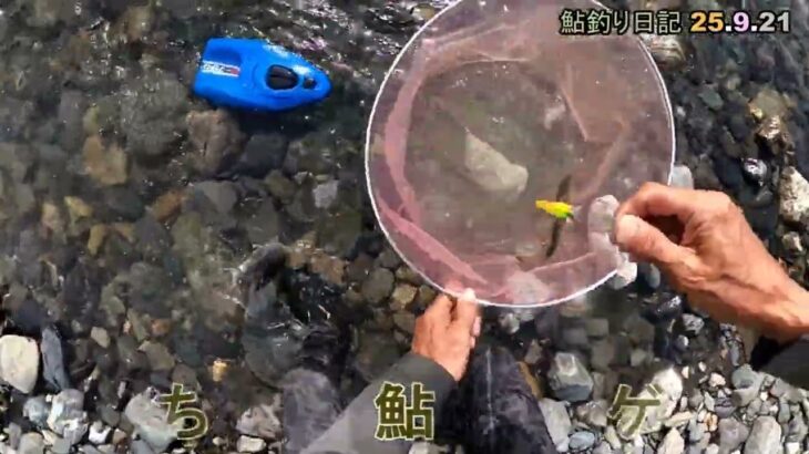 鮎釣り日記 25 9 21