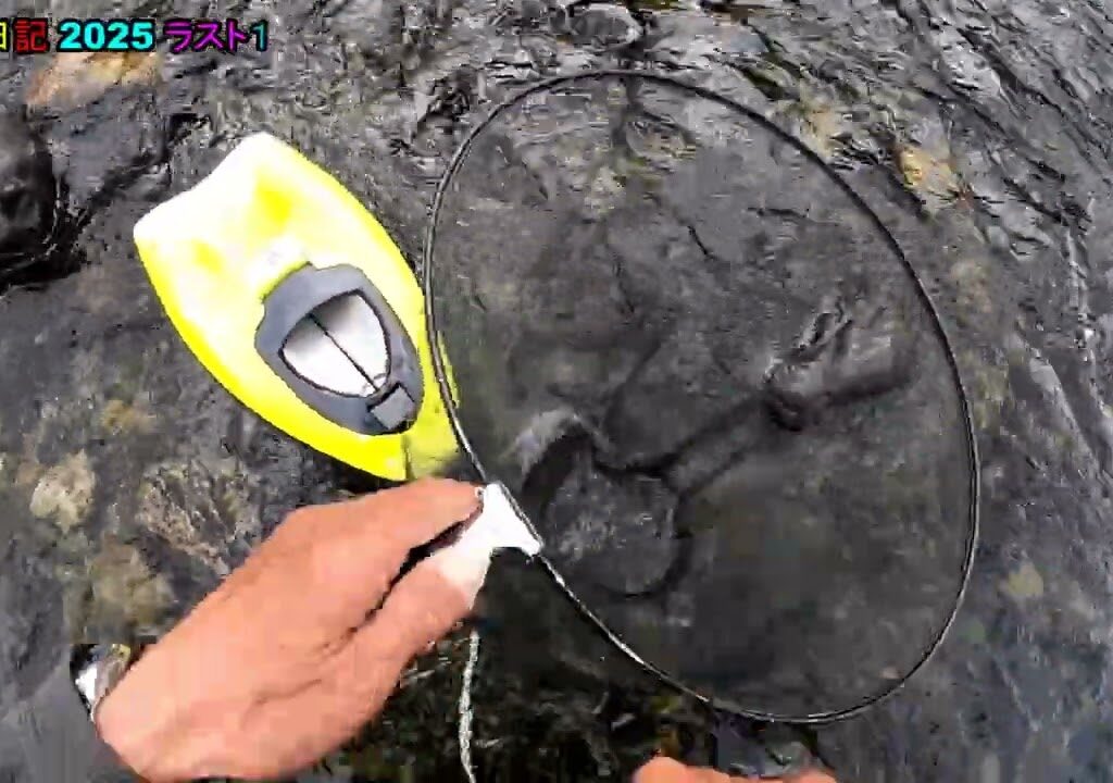 鮎釣り日記 25 9 29