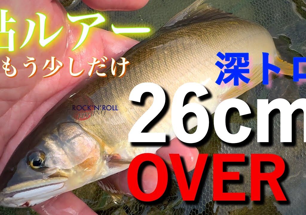 【アユイング】深トロで手にした26cmOVERの大鮎 〜三重県 大内山川〜